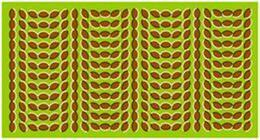 Optical-Illusion.. Now you see me and now you don't :)