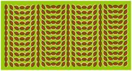 Optical-Illusion.. Now you see me and now you don't :)