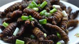 mopani worms  (◕‿◕✿)  ☺️☺️☺️