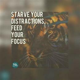 Starve your distractions feed your focus 
