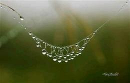 Water necklace 