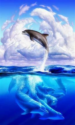 Dolphins