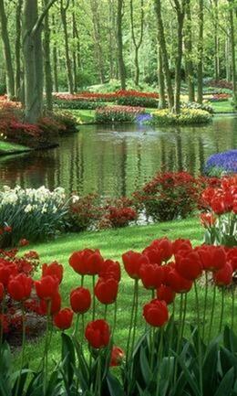 Beautiful park