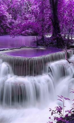 Purple waterfall