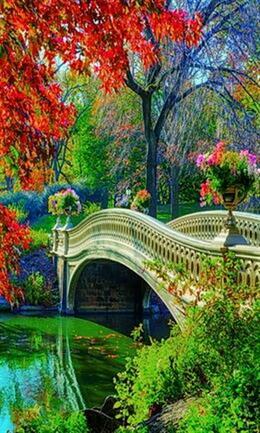 Bridge in the park