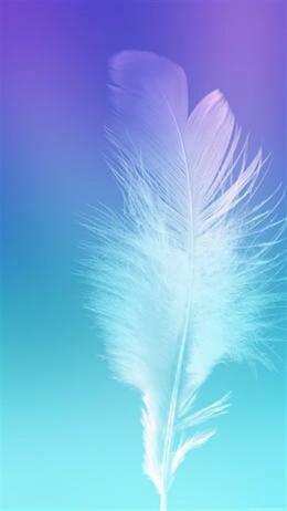 Feather