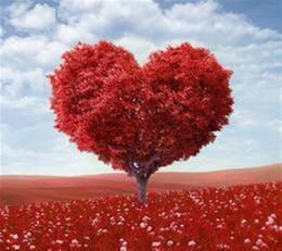 Love tree